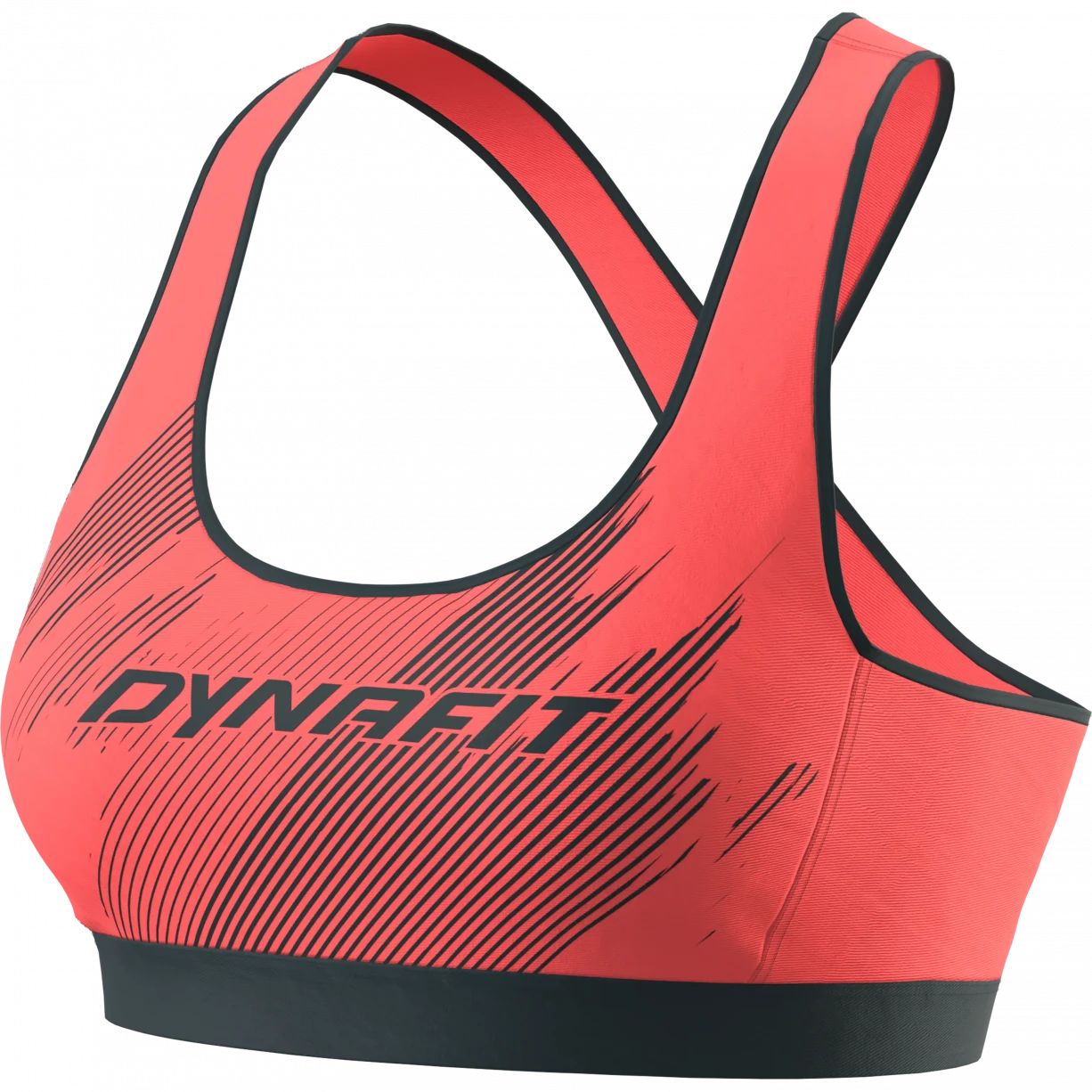 Dynafit Alpine Graphic Bra - Women's
