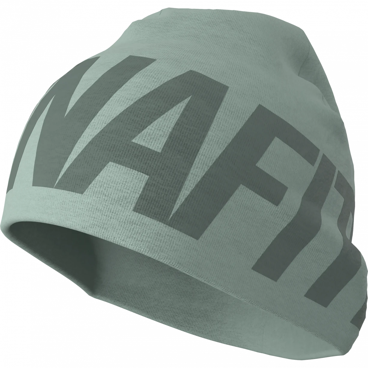 Dynafit Light Logo Beanie