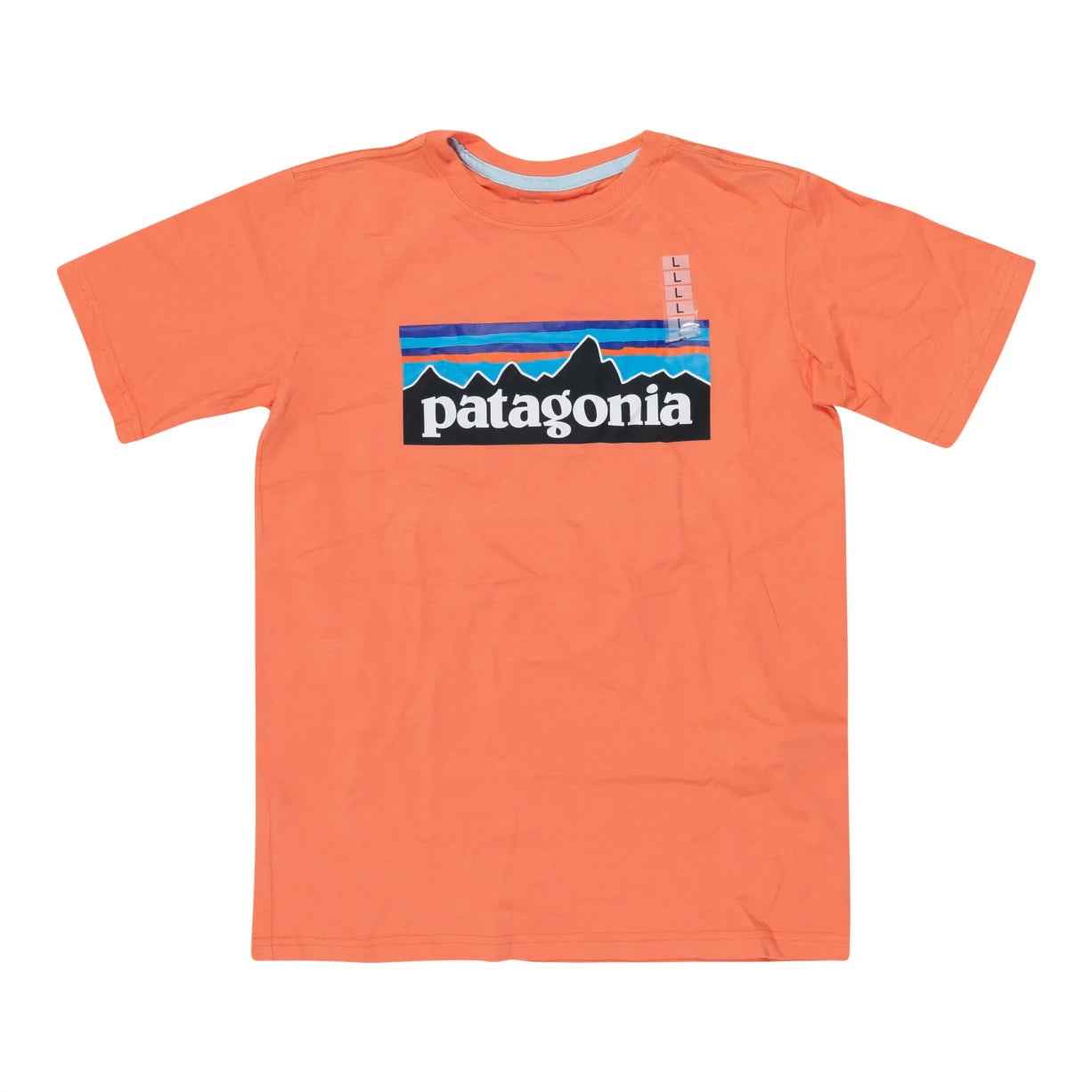 Patagonia Organic Cotton P-6 Logo T-Shirt