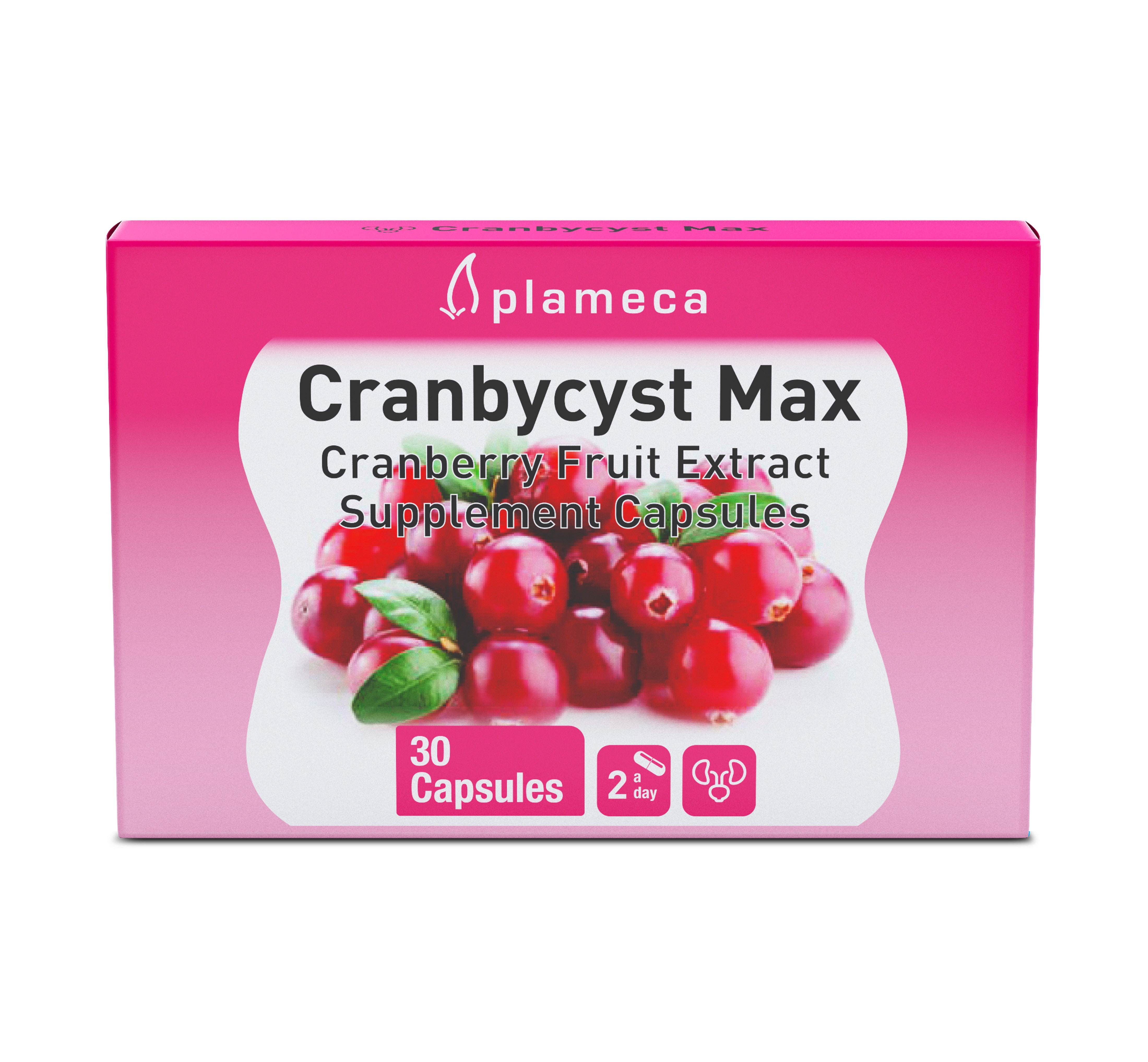 Plameca Cranbycyst Max Cranberry Fruit Extract, Supplement Capsules - 30 Capsules