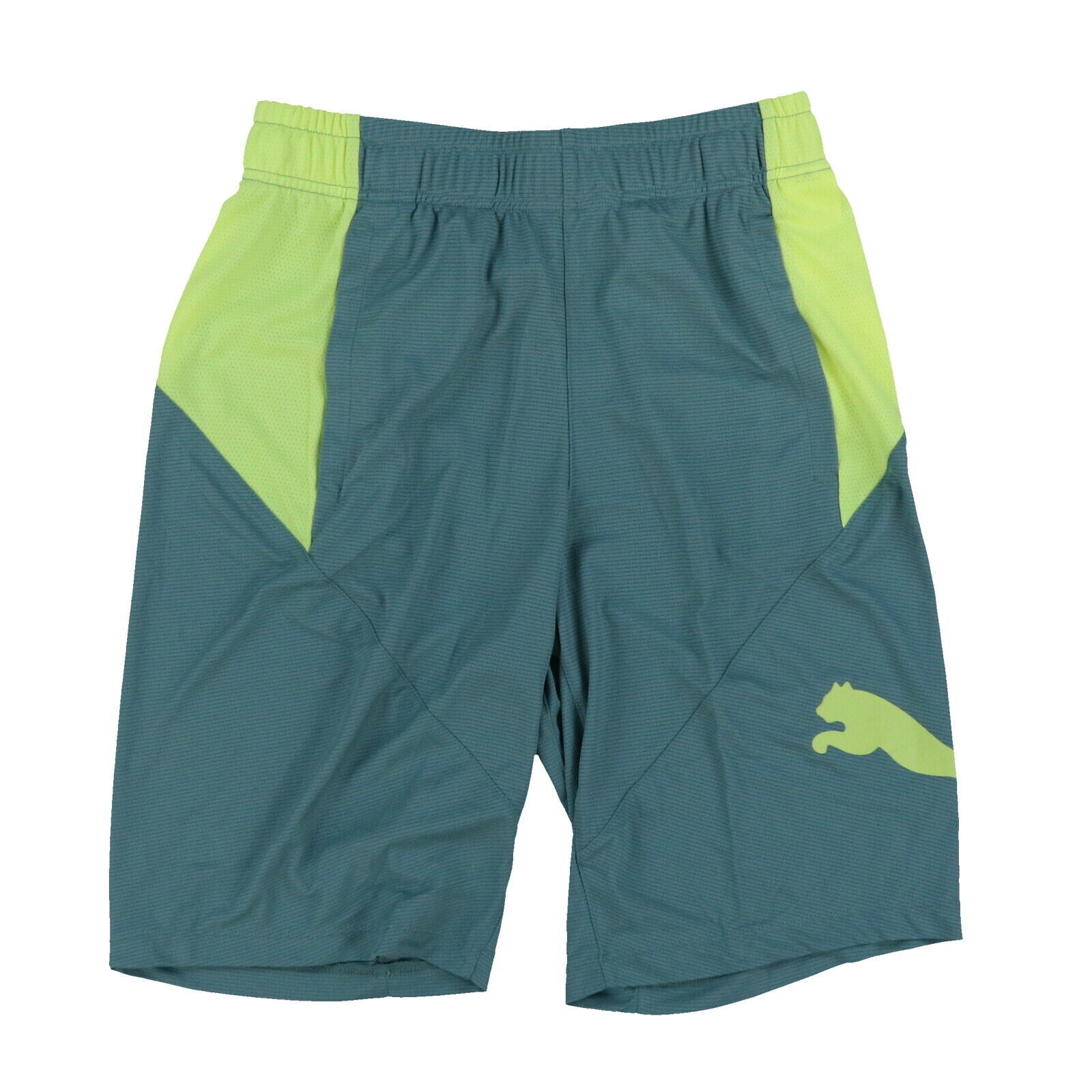 Puma Men's Training Shorts Blue Size Small