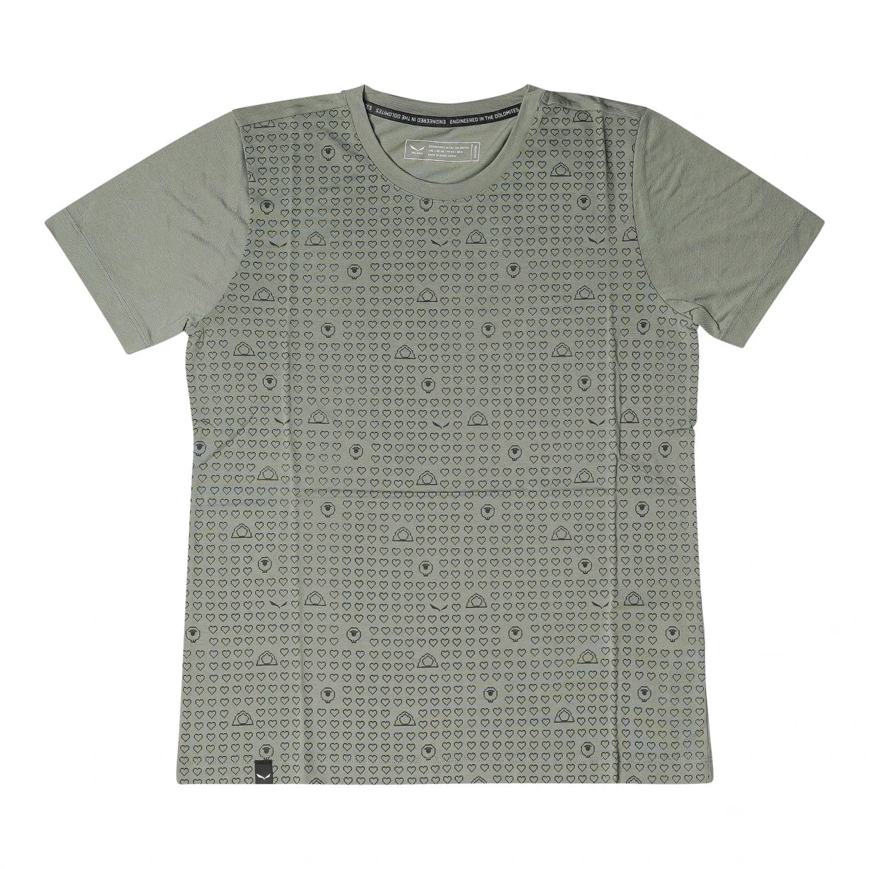 Salewa Eagle Sheep Camp Dry T-Shirt - Women's