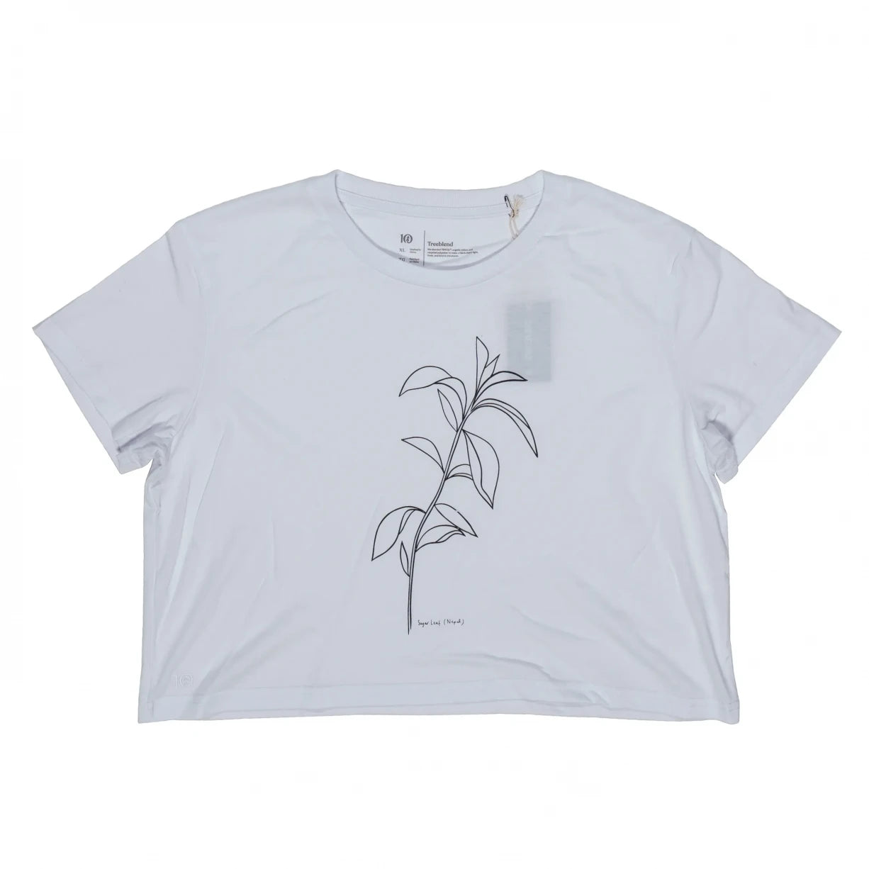 Tentree Sugar Leaf Oversized T-Shirt - Women's