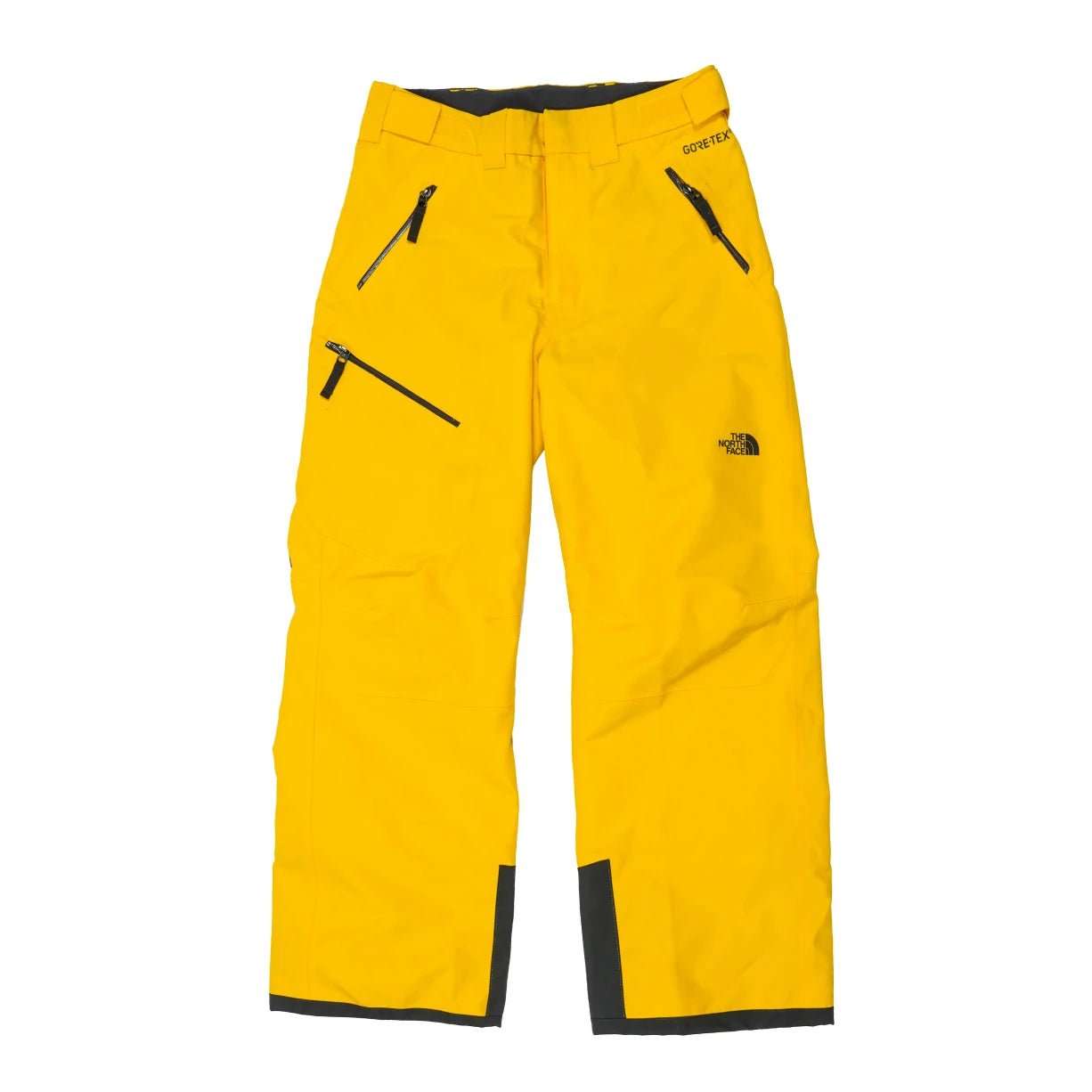 The North Face Fresh Tracks Ski Pant - Boys'